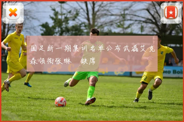 国足新一期集训名单公布武磊艾克森领衔张琳芃缺席