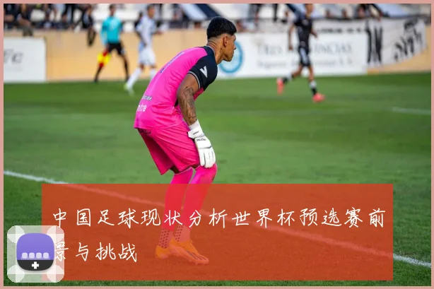中国足球现状分析世界杯预选赛前景与挑战