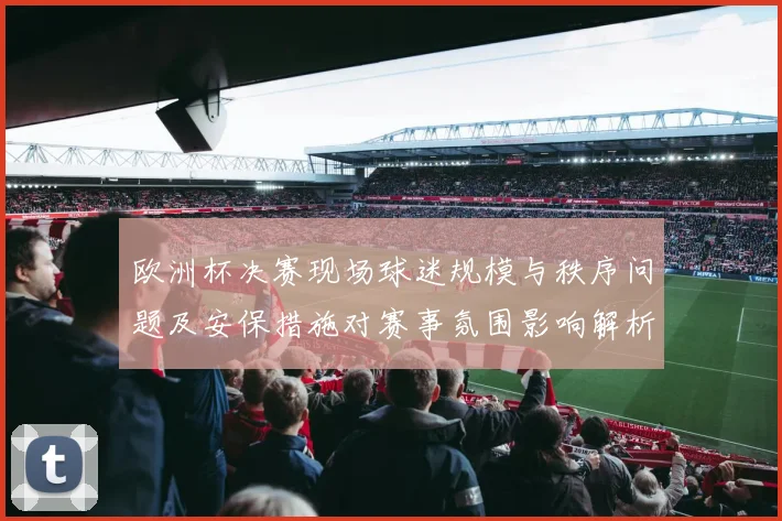 欧洲杯决赛现场球迷规模与秩序问题及安保措施对赛事氛围影响解析