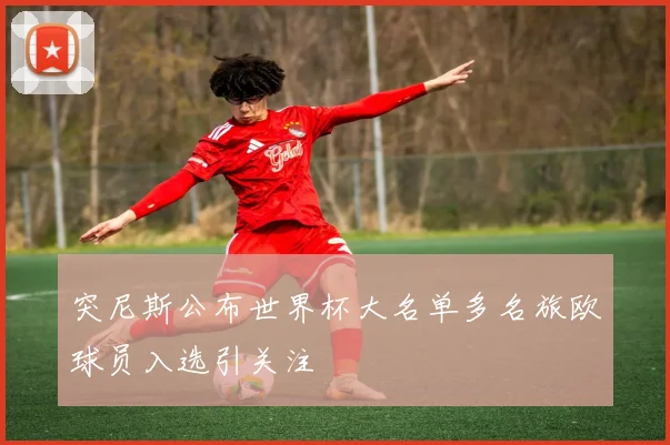 突尼斯公布世界杯大名单多名旅欧球员入选引关注