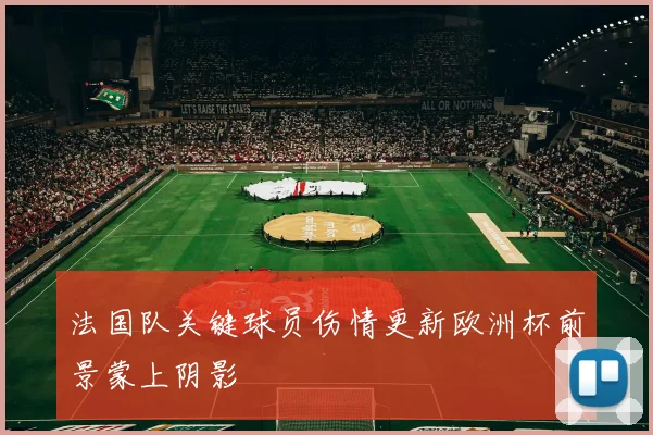法国队关键球员伤情更新欧洲杯前景蒙上阴影