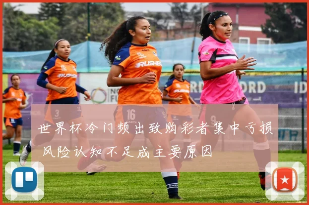世界杯冷门频出致购彩者集中亏损 风险认知不足成主要原因