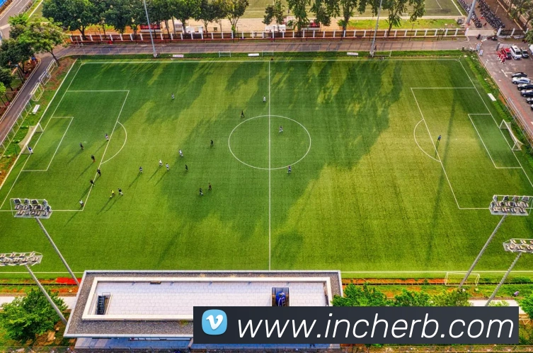 App Interface Preview