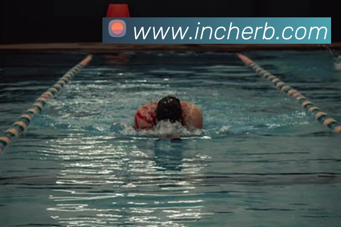 up体育官网APP 封面图