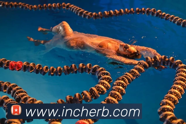 数据防护可视化